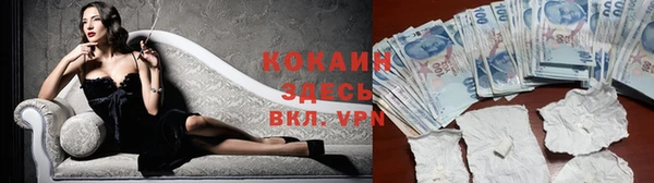 кокс Гусев