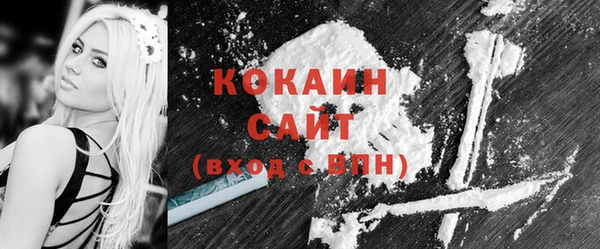 кокс Гусев