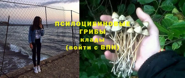 2c-b Гусь-Хрустальный
