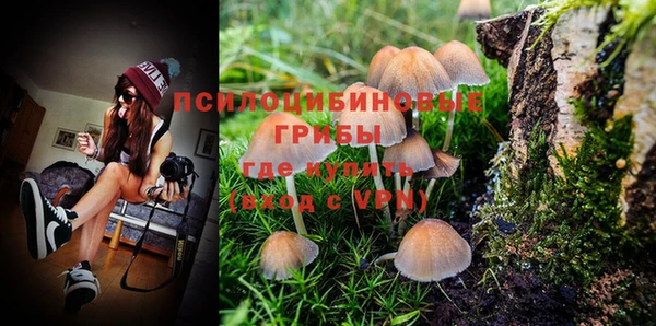 альфа пвп Гусиноозёрск
